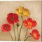 Graceful Spring by Janel Pahl 14" x 14" Canvas Wall Art (Set of 2)